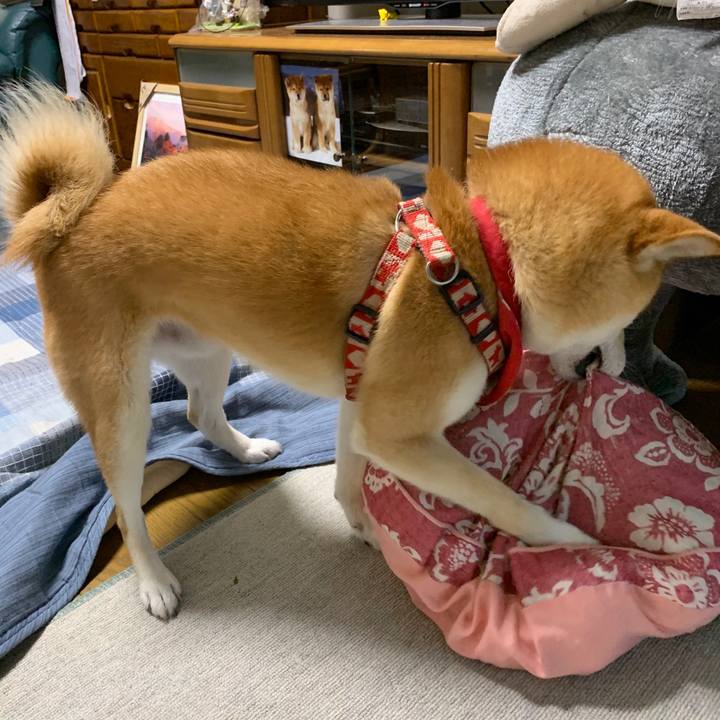 62d05602 deaa 4816 88fb 75f03e635c6b 1595763720587