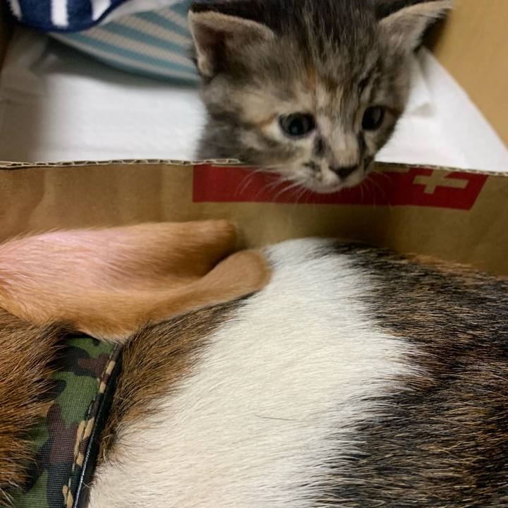 62d05dc5 5a53 4e7d a1d7 5d306e81544b 1588343203552