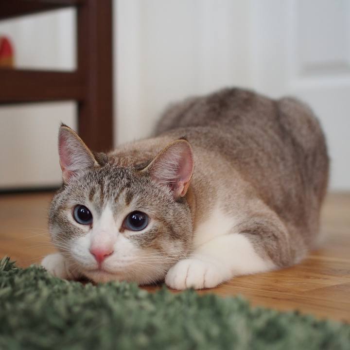 62d06631 f0f2 420b ad1a d43743be4654 1592735005564