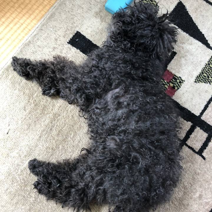 62d093b2 74c4 406e a72e cfc1c2ee0d48 1524477566182