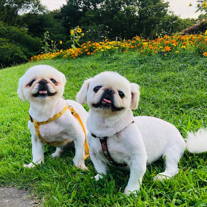 62d0d0a9 4e4d 47d7 9db6 6a7c468fb1aa 1627689989842