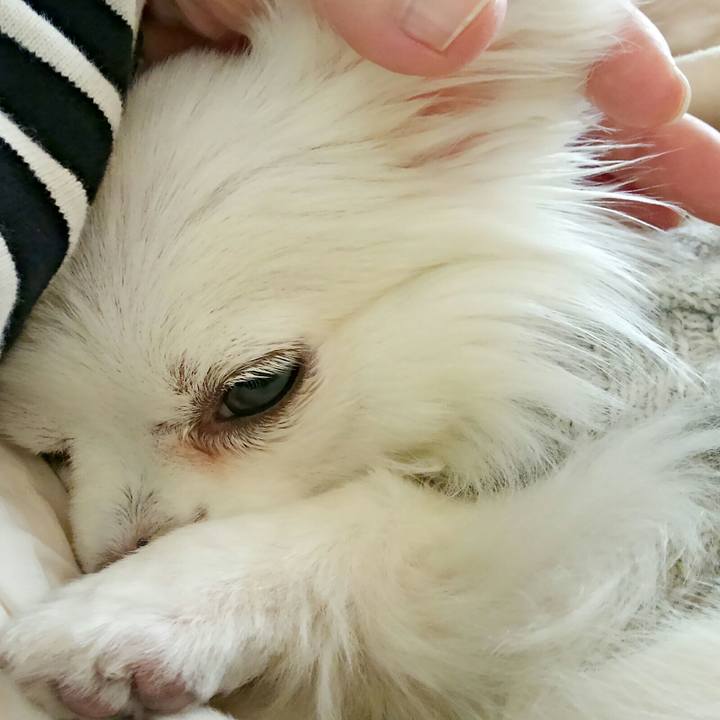 62d0d122 3ceb 43a2 8b2b c57751788f06 1512257717206