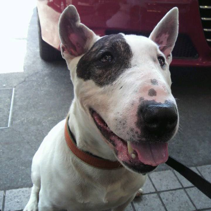 62d0d796 072b 4dee 86e6 d3a2c4965c87 1587215678721