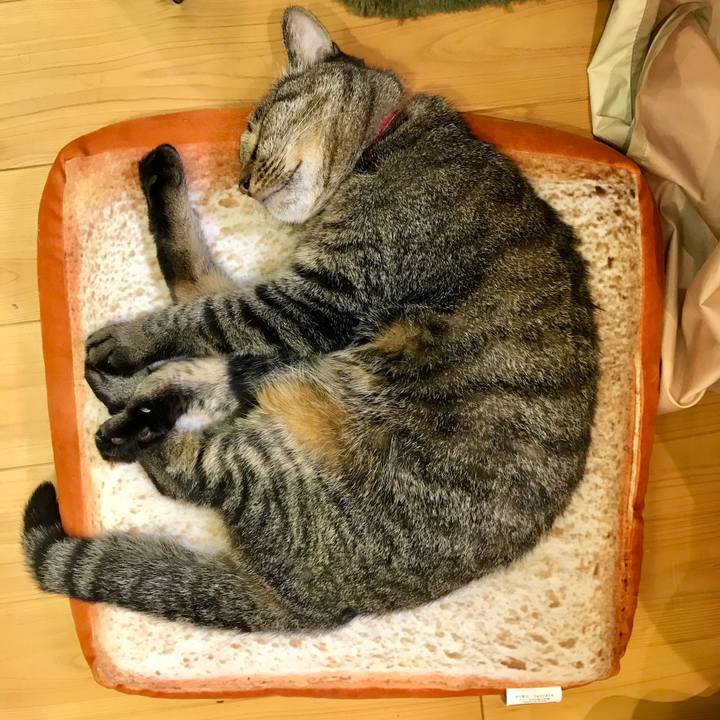 62d0e68d deb2 4c53 8b72 01bcfac76ba1 1536063300175