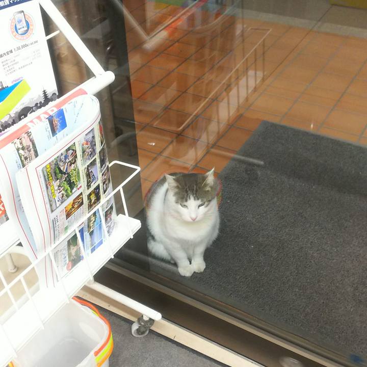 62d10800 b2a6 42e2 93f5 83b0d405b6d9 1547982118058