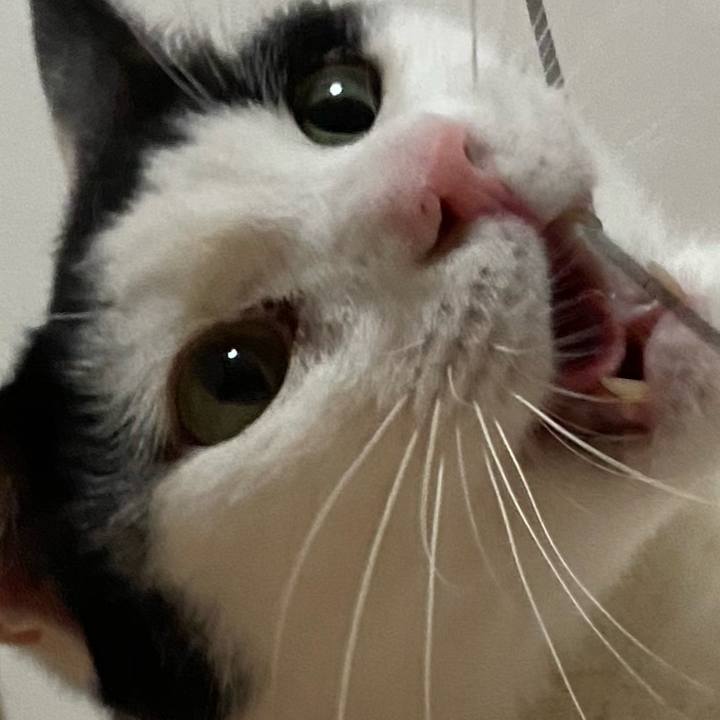 62d11bc9 2762 40c5 a95c e84899035f4a 1583324051585