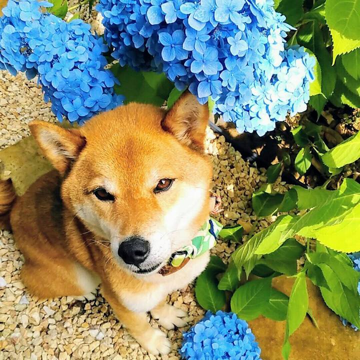 62d12722 2850 4162 9ae9 412a4380bb6e 1560734731022