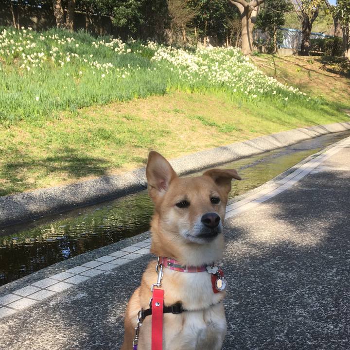 62d173b5 83e6 4f3a 8c24 51d83cc6639a 1553096769818