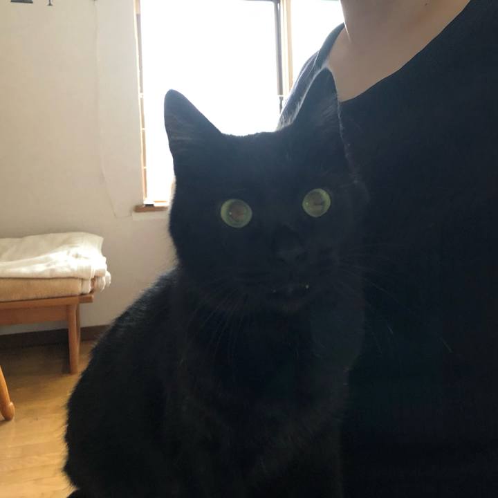 62d189b3 55bb 470b a140 dd6e96afecbd 1562144573146