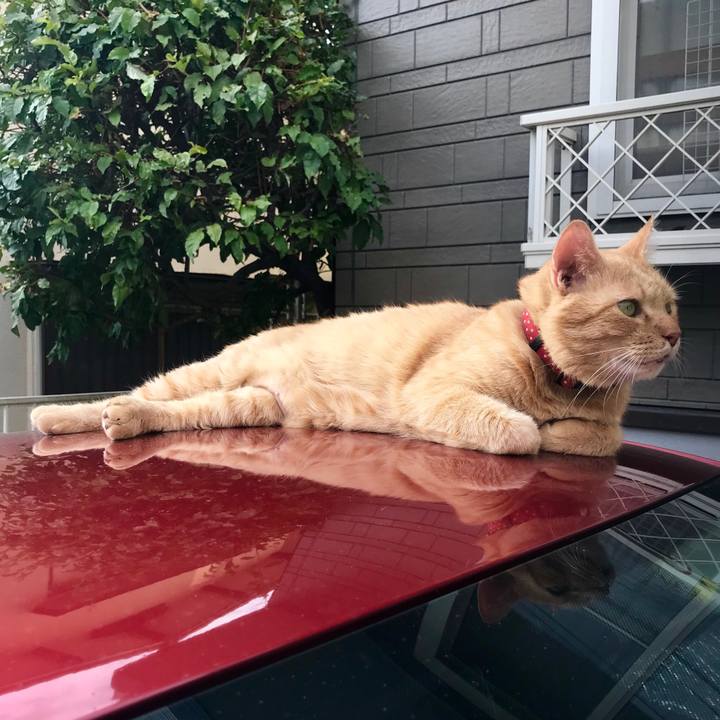 62d1a1a1 b910 463d 9c0e a17dcb5c09d8 1534755212724