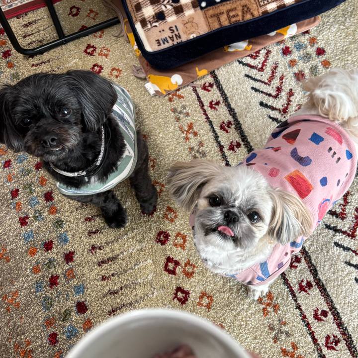 62d1c1a6 22f2 4aca 974d 46fb37889397 1745296552459