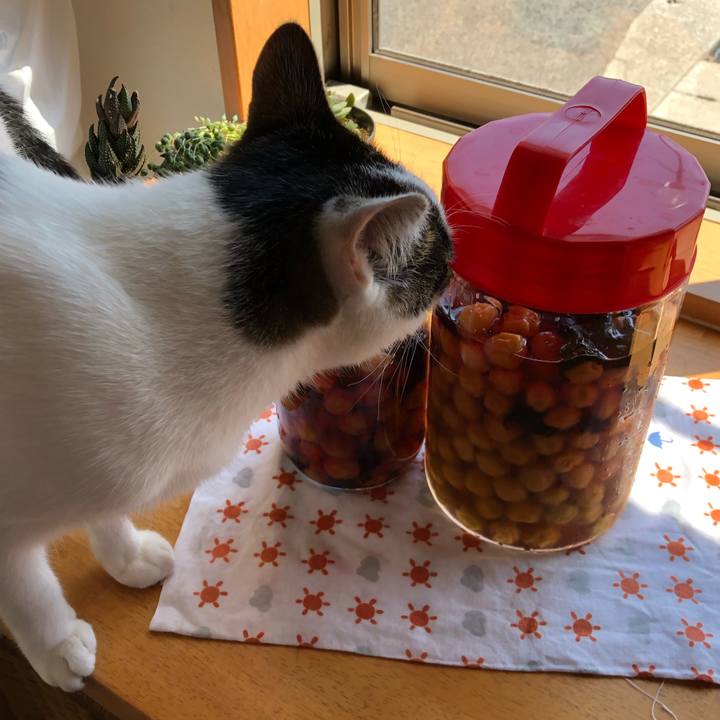 62d1ceea a07a 45b8 8e3e 1415a10c5532 1591575906685