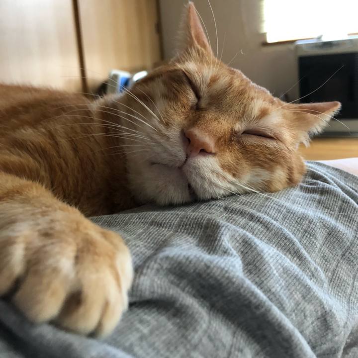 62d1f410 2c1f 4694 813b 278591c8bb83 1600491943762