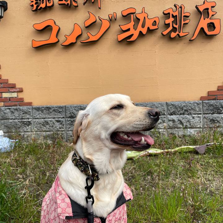 62d227b2 dc11 4cae b42e 289c44ed4c08 1648890436715