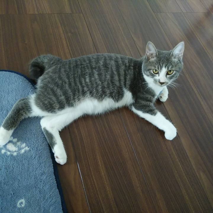 62d2329f dcd5 4edd 909a 2507148f6f84 1569285965876