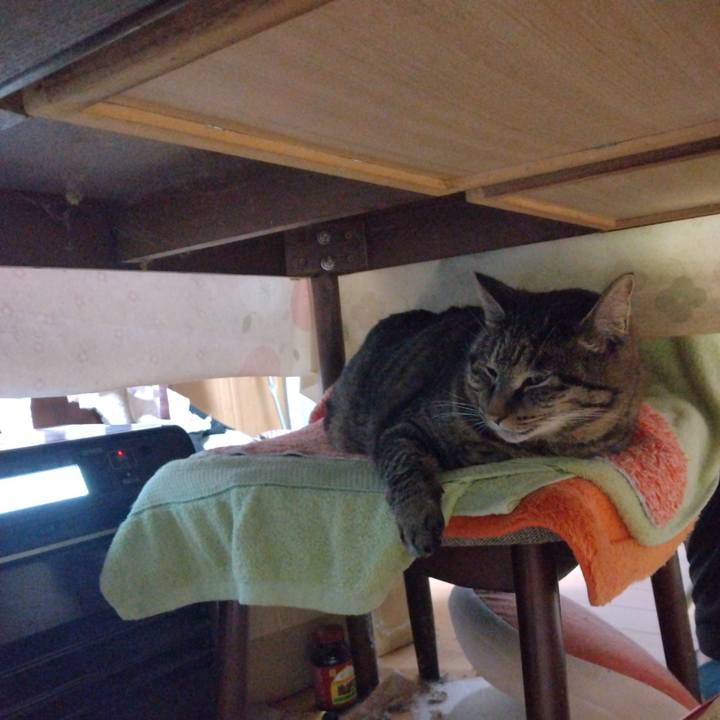 62d2481f c87e 4312 8b5a 505cce0738ea 1708516323949