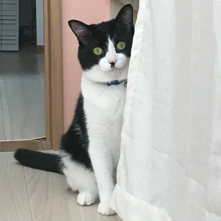 62d2613d 4032 49a8 857c 82ea670a15e6 1525922163899