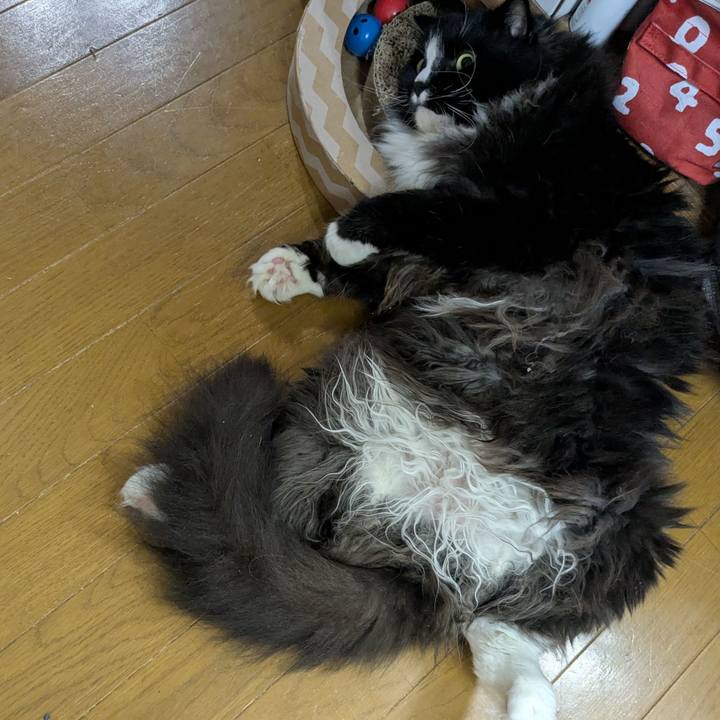 62d27444 166b 40e3 8c55 1731bdedcfa7 1751800741552