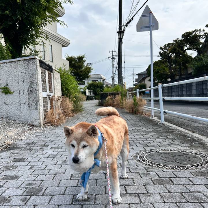 62d288bc 4625 46ec b10b 71eeda6068b1 1752366430749