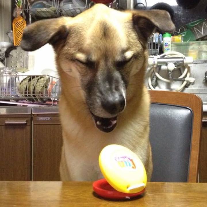 62d2e35a b1f4 45aa b350 3e17d386f006 1549448261005