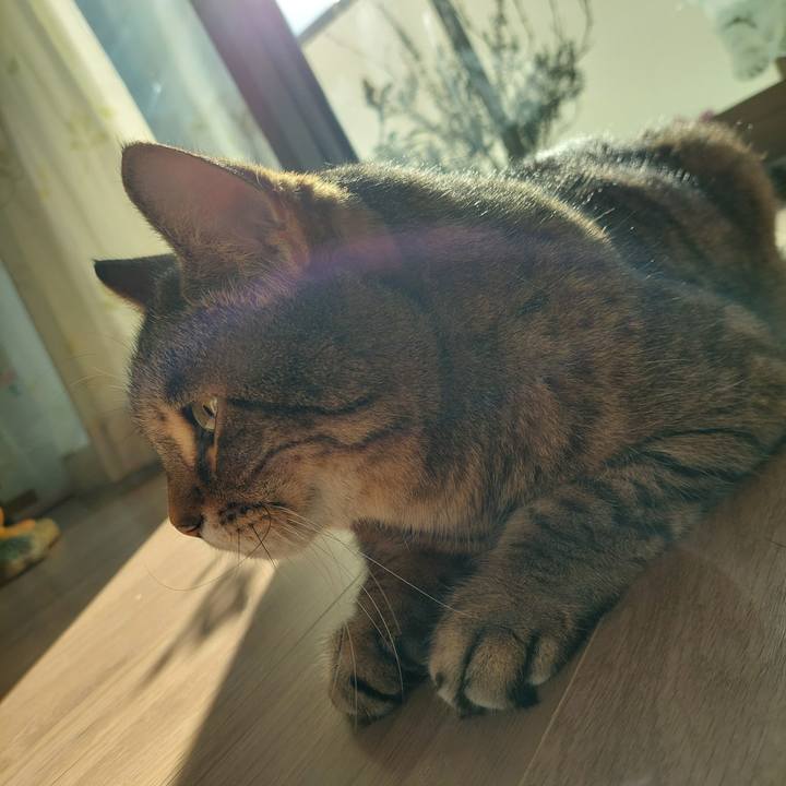 62d2ed32 bdcb 4fd0 bd17 99923e15003f 1763250299284