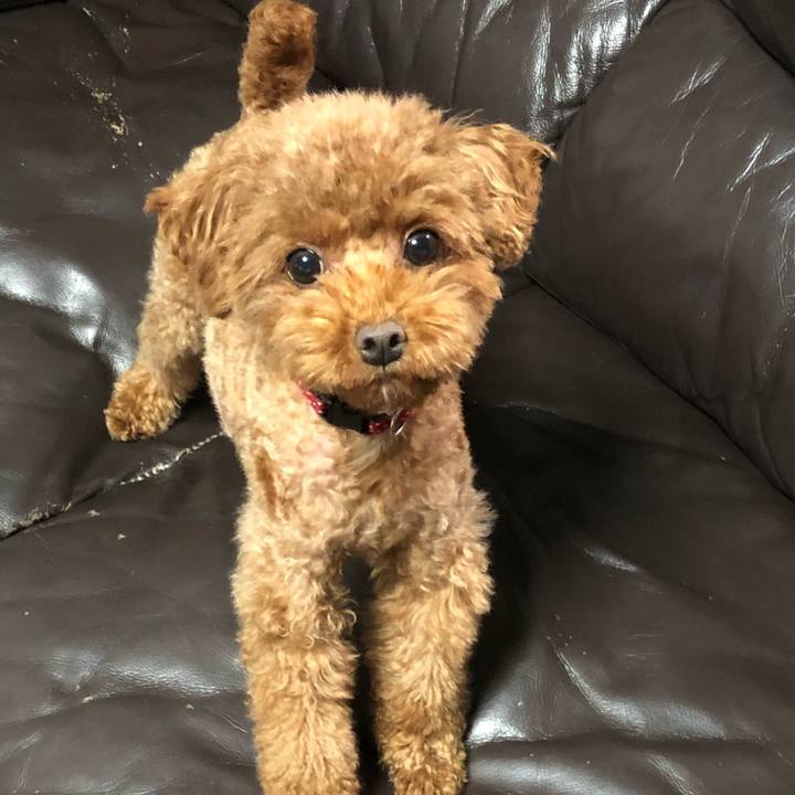 62d30d55 4e7e 493e a30c 7a61af1937ee 1567120924579