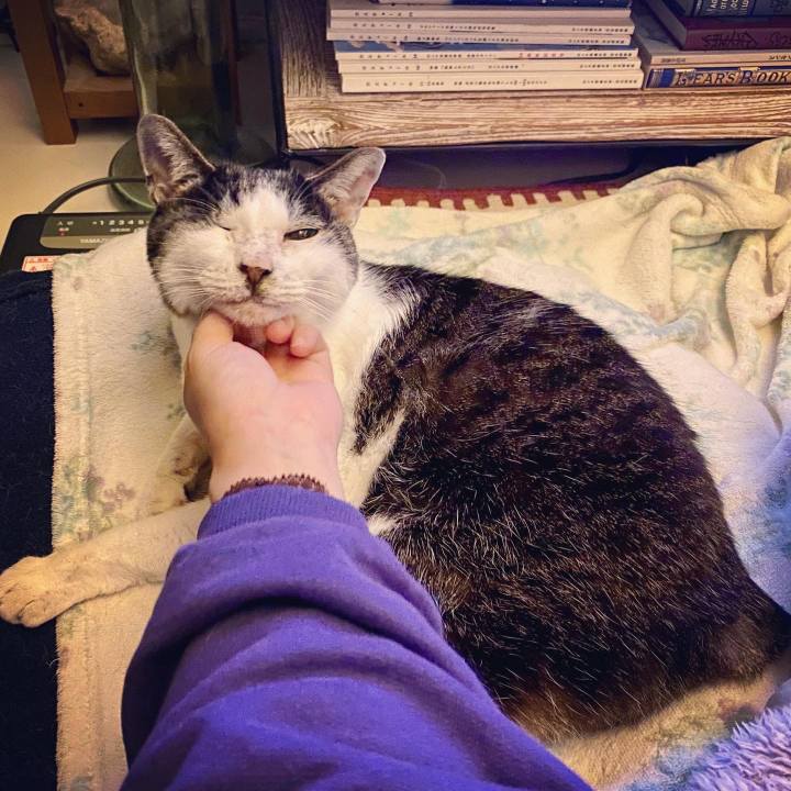 62d333a3 2e22 4135 abbd eeaffc8d0cc1 1611924162227