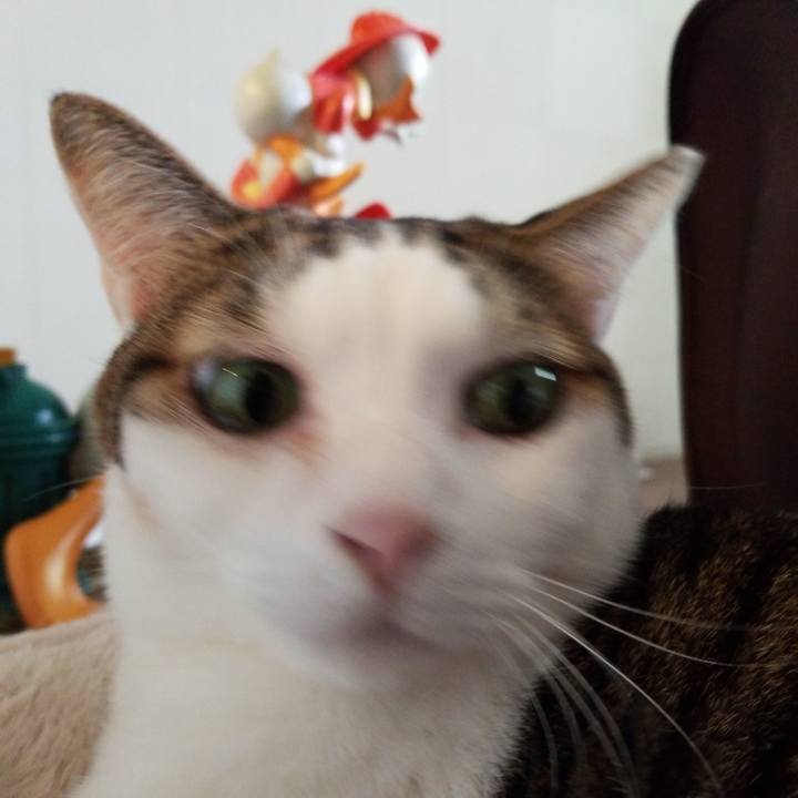 62d3420d 5ed2 4edf a890 3d54077f88d7 1572045603638