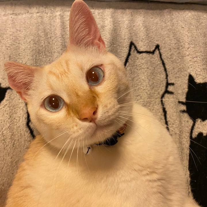 62d34a6d bb5a 438f 8c4a e01fb2f69adf 1699682976017