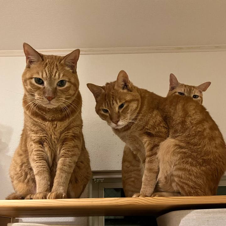 62d3514b 4639 4bd2 b22e 5de7ba505b54 1763982116388