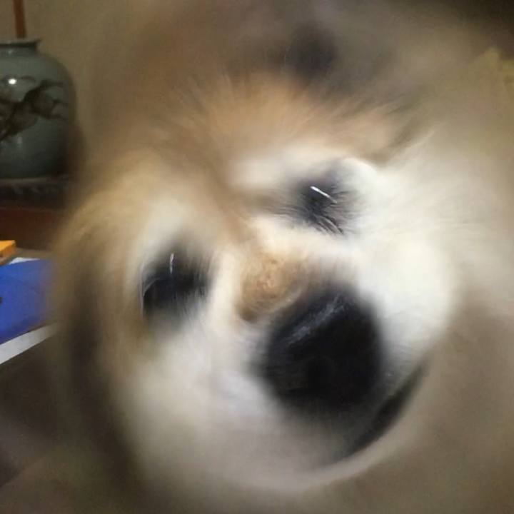 62d399e5 1914 4cbf b642 f58d862d8b32 1550833246347