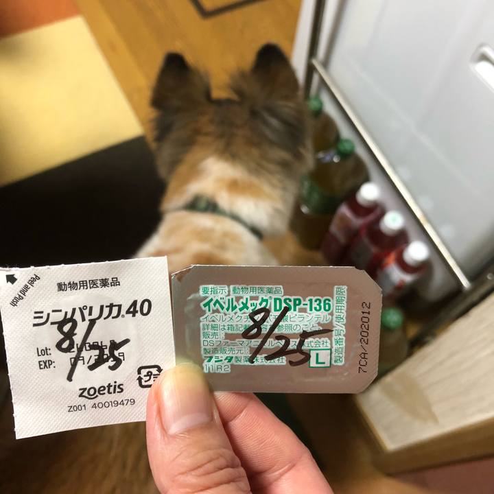 62d3af65 199e 4451 9fa3 81cd25effc00 1535162622281