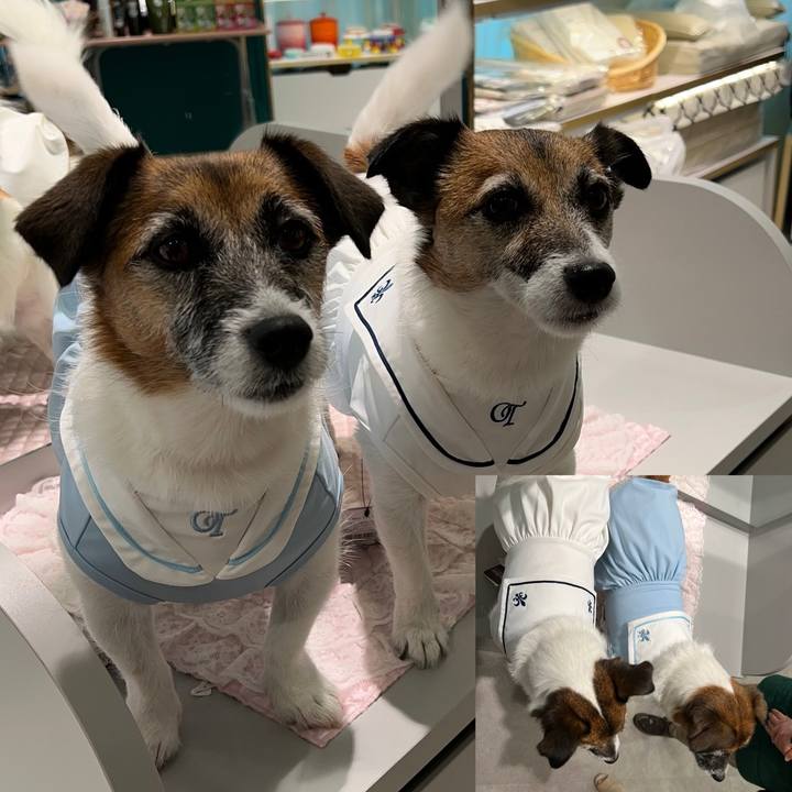 62d3b765 bf62 4f8d 825e 4d48923130d7 1721280901254