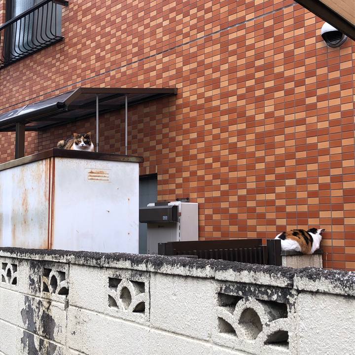 62d3d975 0ed1 4f74 b6ab 9cfabc9eeb9c 1603576938120