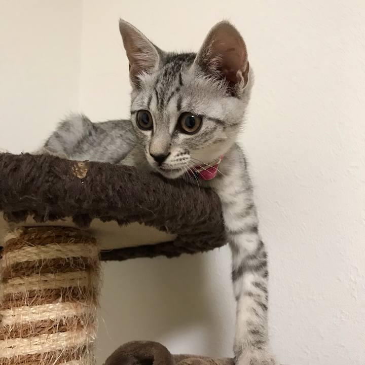 62d3dc0e e24d 4f89 9100 095422879100 1564045042350