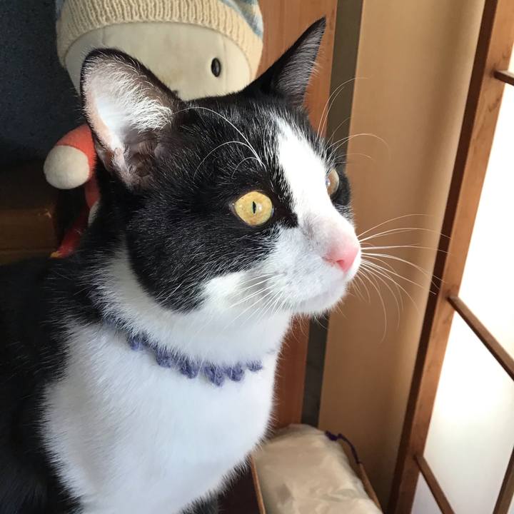 62d47a25 9b4c 4d4f 8099 5999cff2ecc6 1640561222704