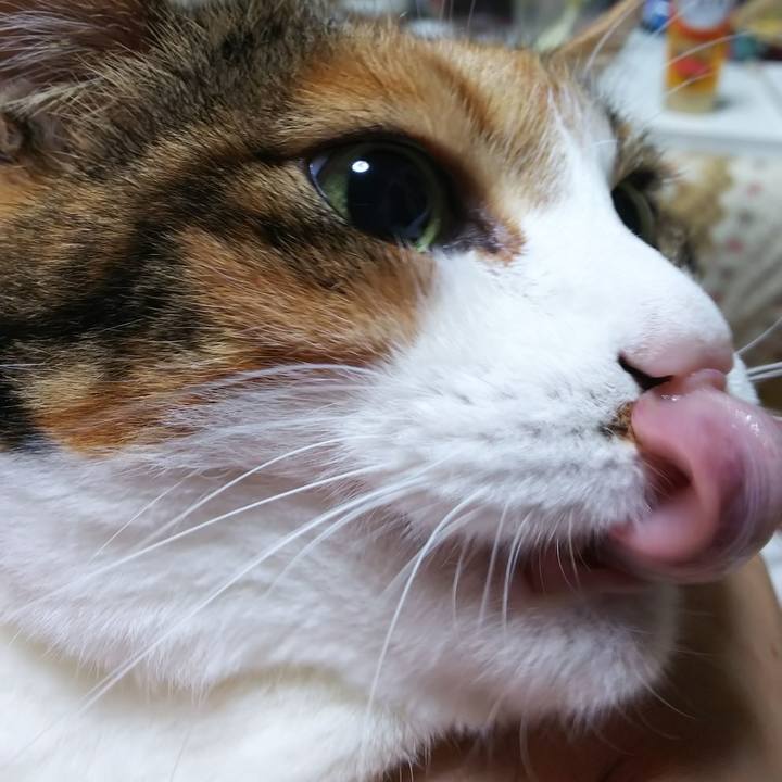 62d48504 c6a3 4c44 9660 a539b0e24ec8 1574554357835