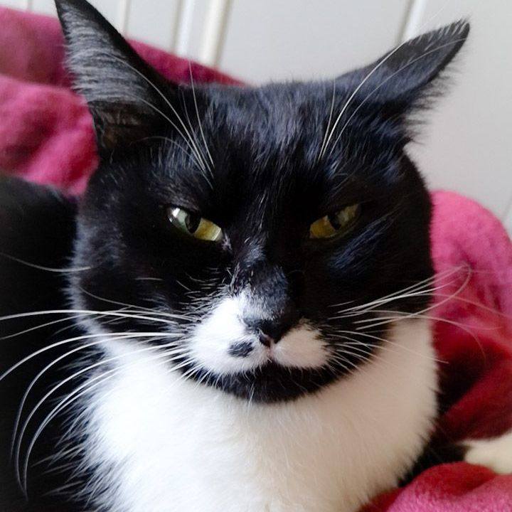 62d4a13d d9c4 45a2 8cd3 41ffc086deb2 1544751811157