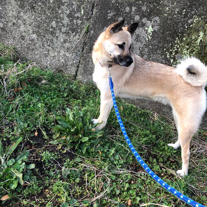 62d4bbd9 0f9c 4d9f 8c63 9a8caa05f76a 1520594489267