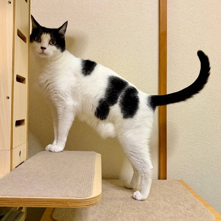 62d54af0 69fc 4be8 807d ac451b1332c5 1764864590678