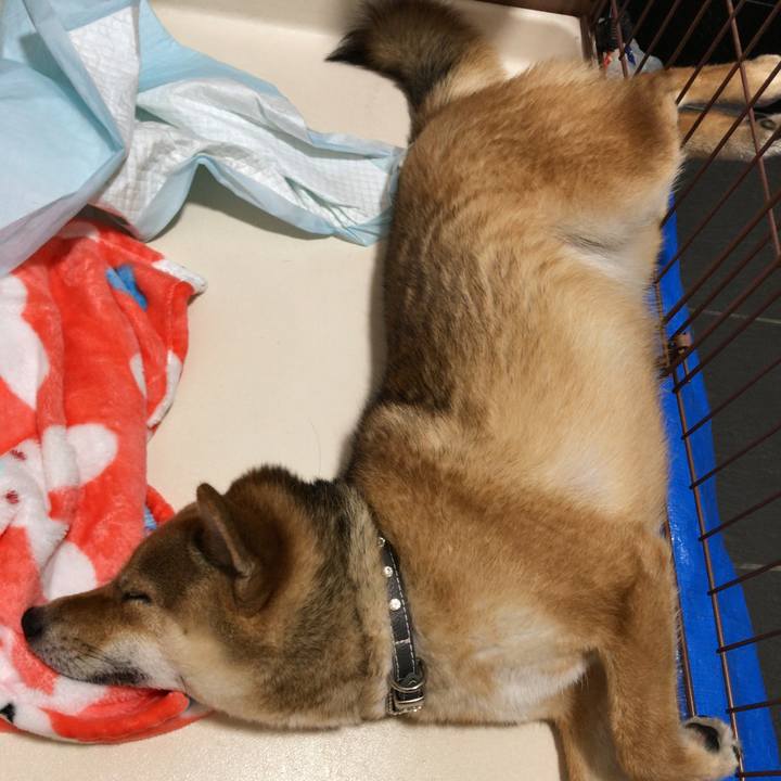 62d54dd0 efc5 40eb ba73 505979aebff7 1526618555780