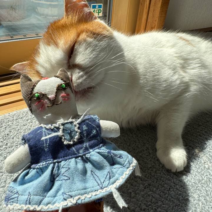 62d5711b 31d3 4468 a209 78c466da6c41 1773028352410