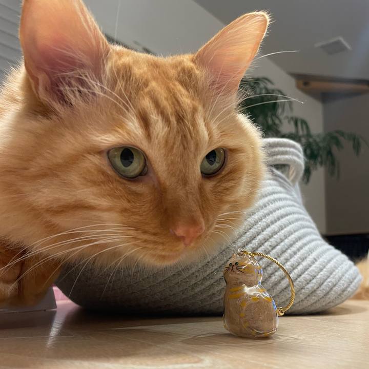 62d57c20 cf78 420d bf84 75ac2c25104e 1771763159471