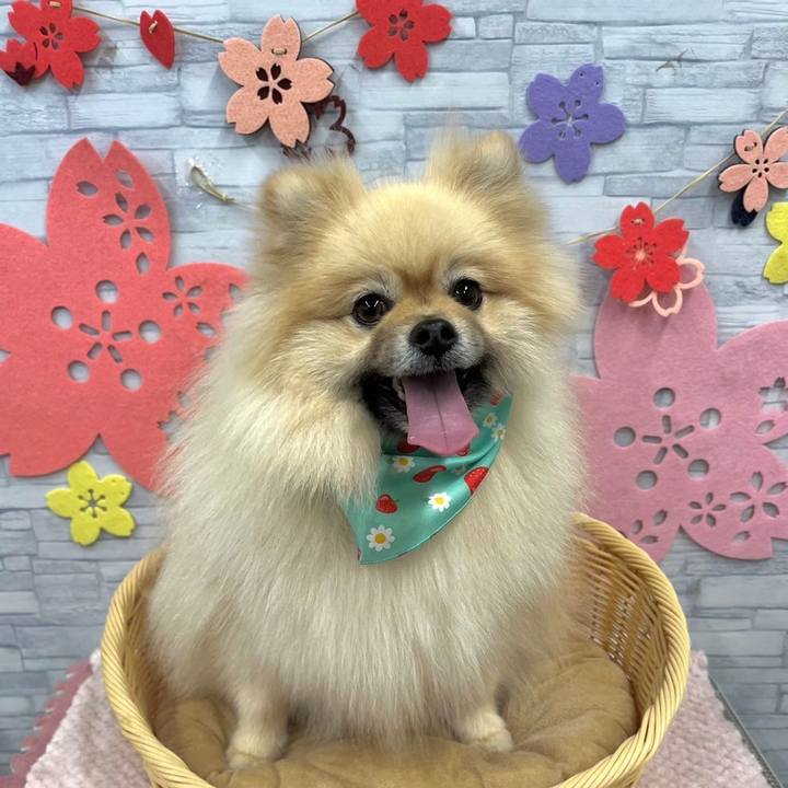 62d59554 9d3a 4192 a4cd 1d0c89e1d326 1710289658666