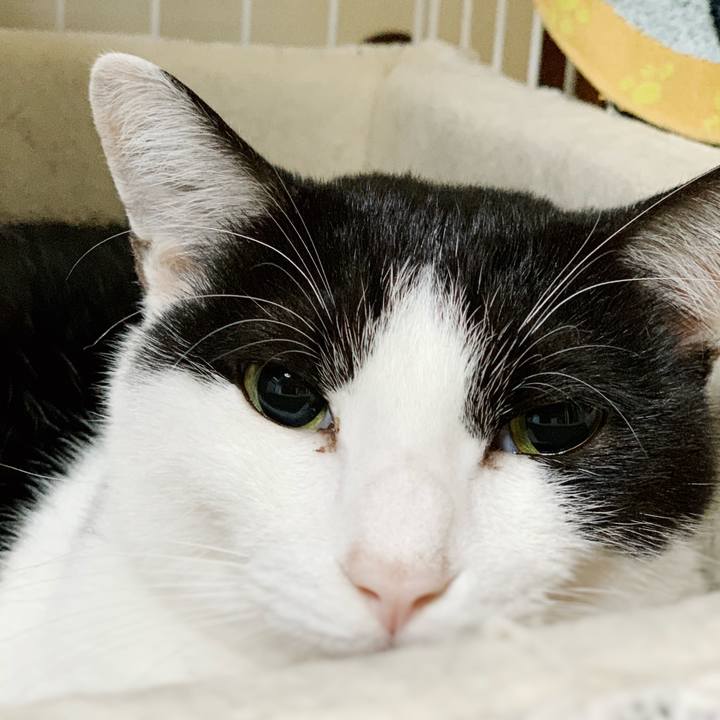 62d5b54c 1423 4dc7 b386 168678b739bb 1543281686069