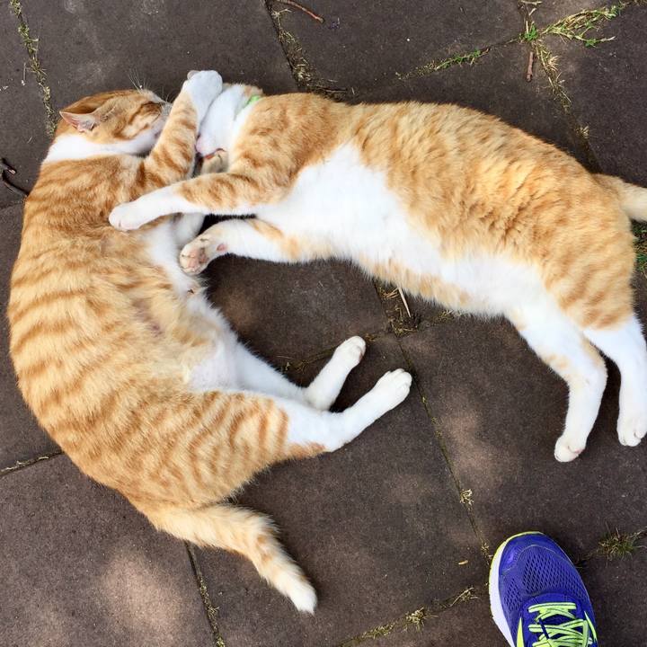 62d5da15 61c2 466f b087 baedbb7e79ec 1530949857448