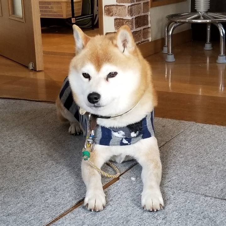 62d5da89 7b49 41e0 98b4 f92aaa6b013c 1611117839298