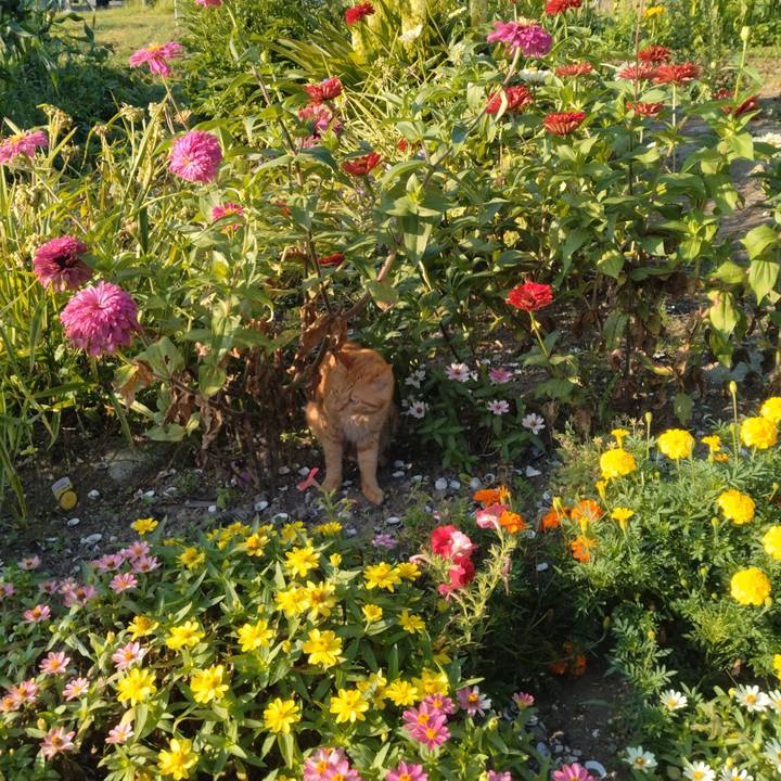 62d5dc4b 8f86 44c1 b7d2 fdcf8d2d9bc7 1691189831491