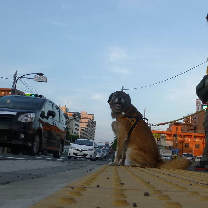 62d5e239 ac1f 4a3c 9c94 8f3a7ee07ceb 1580122919847