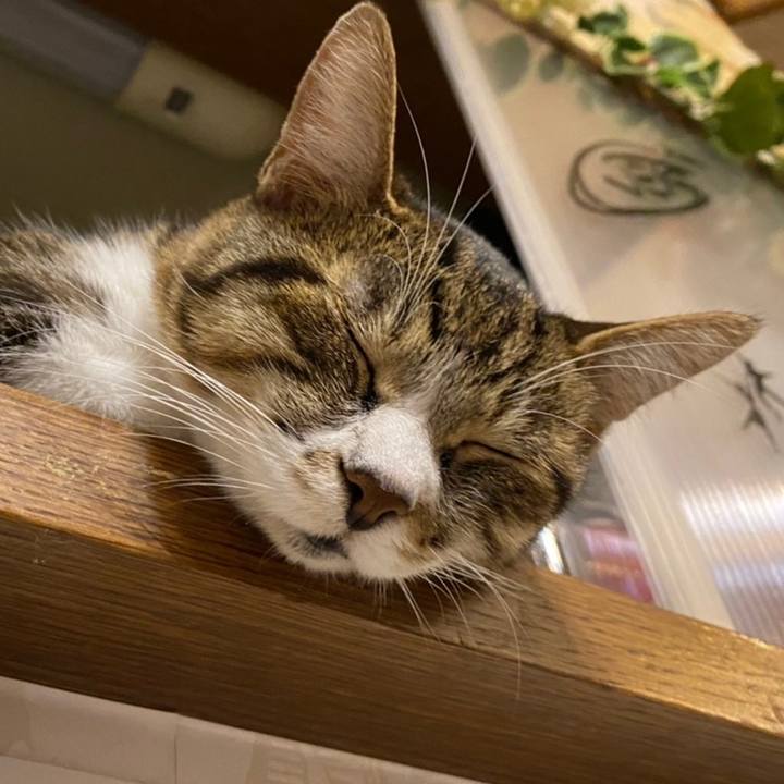 62d62c03 932b 44c5 8649 d19a40b655ec 1609730531231